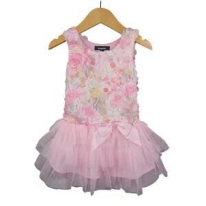 Zunie Girls Pink Floral Soutache Tiered Mesh Tulle Ruffle Dress Size 2T Princess